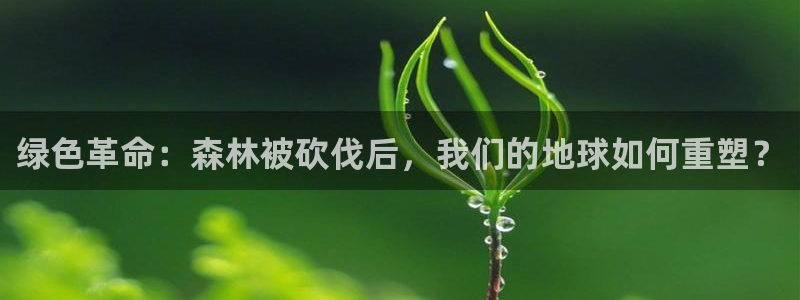 凤凰娱乐ktv卧龙路