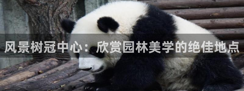 卧龙娱乐是什么