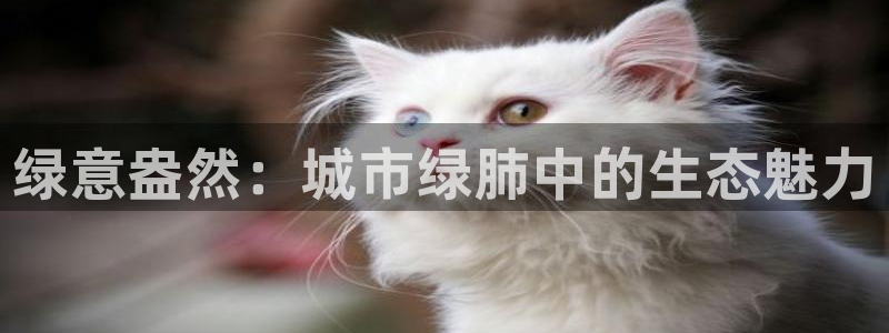 卧龙娱乐彩票官网直播