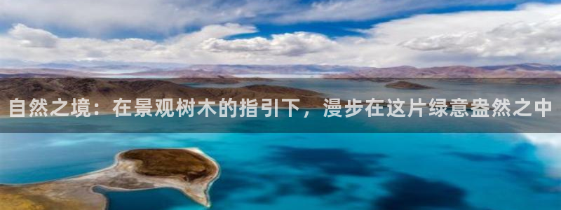 卧龙娱乐是真假吗