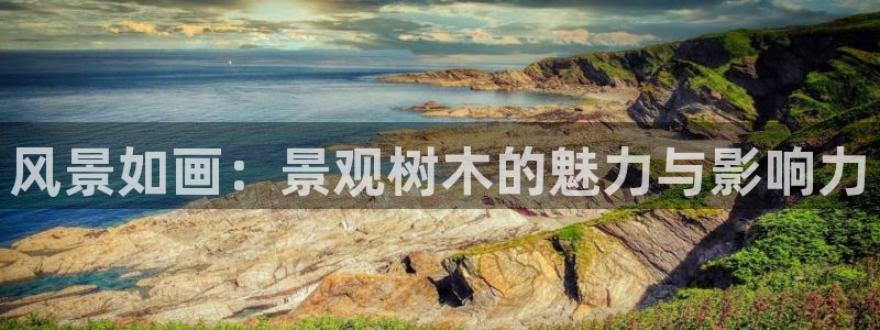 大娱乐家卧龙先生