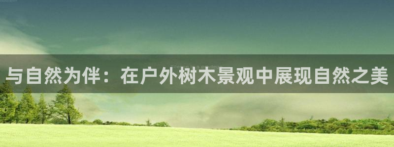 卧龙区维也纳娱乐会所