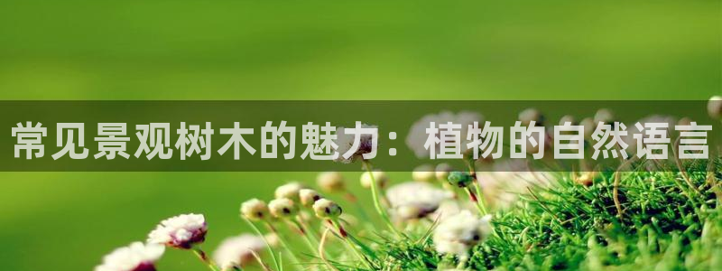 郑州卧龙娱乐王凯旋简历