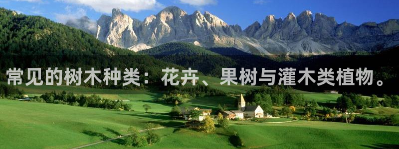 卧龙桥休闲娱乐园