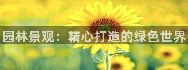 卧龙2神机娱乐攻略:园林景观:精心打造的绿色世界