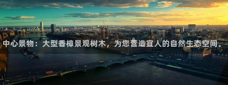 柏林娱乐 044 卧龙