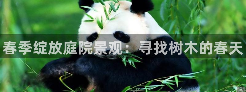 西安卧龙娱乐播报