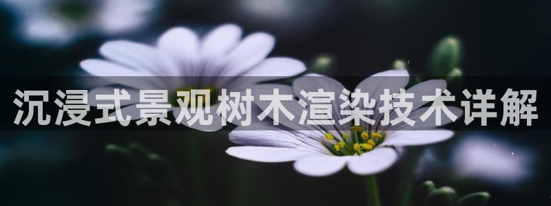 卧龙娱乐app彩票