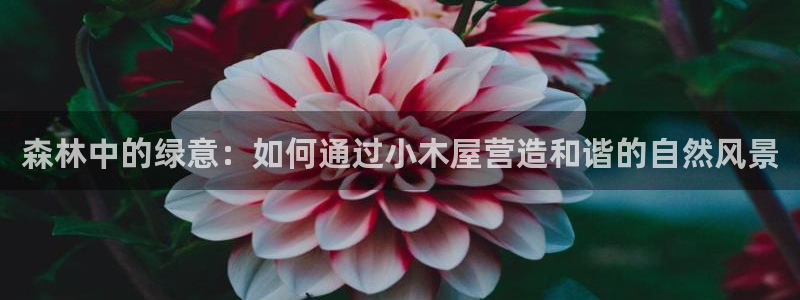 开远卧龙谷娱乐