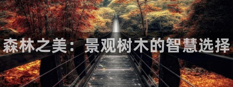 wow卧龙娱乐:森林之美:景观树木的智慧选择