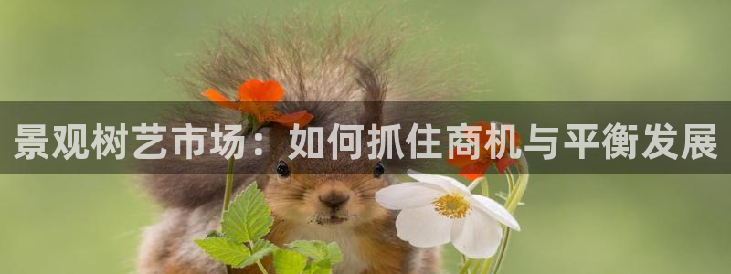 卧龙娱乐招商代理电话