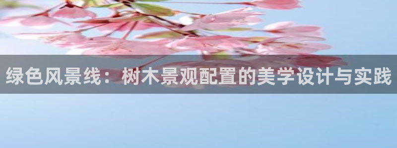 卧龙娱乐气垫项目投资