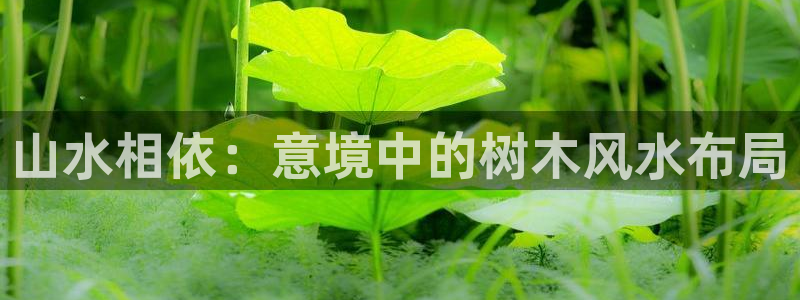 广丰卧龙城娱乐：山水相依：意境中的树木风水布局