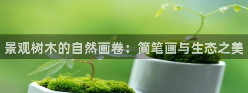 卧龙台球娱乐馆