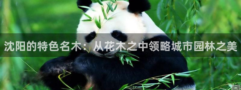 卧龙娱乐招商主管