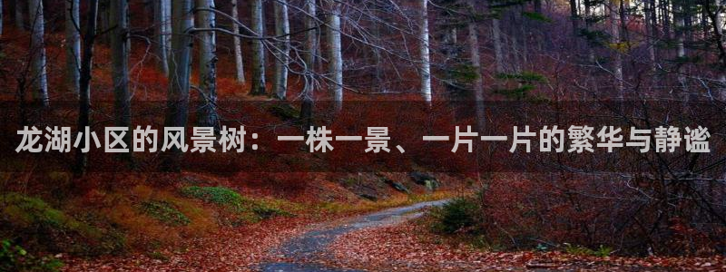 卧龙娱乐直播间