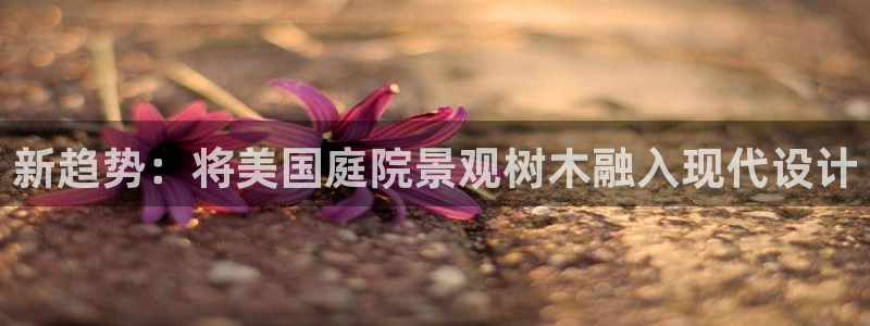 卧龙凤锄娱乐演员