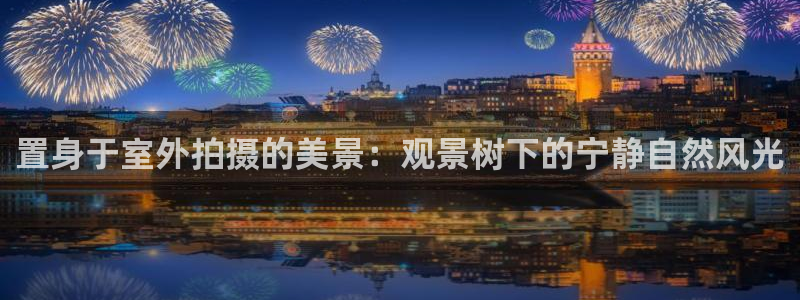 柏林娱乐 044 卧龙