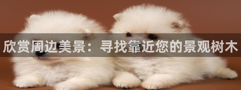 卧龙峡水上娱乐