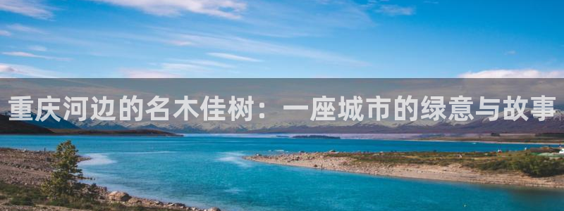 辣椒娱乐卧龙凤雏