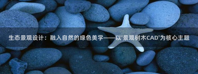 卧龙娱乐过山车