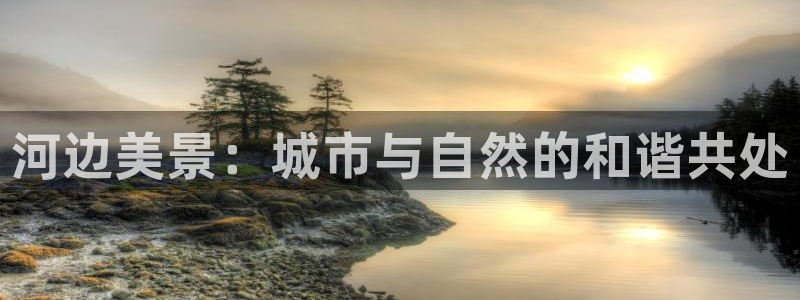 卧龙区社交娱乐