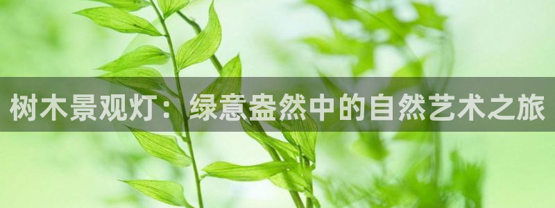 hr娱乐 卧龙招商60447