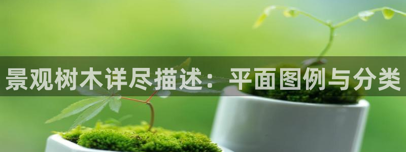 卧龙台球娱乐会所地址