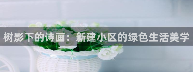 卧龙娱乐场所