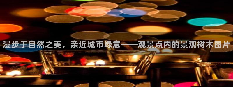 卧龙ktv娱乐会所地址