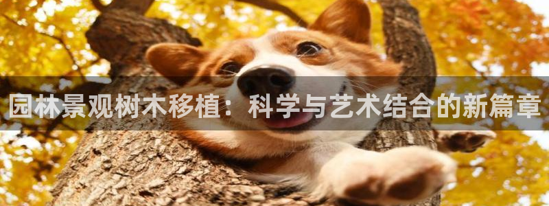 卧龙娱乐平台可靠吗
