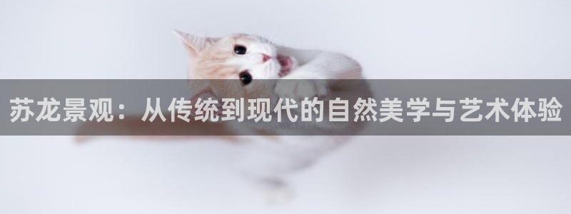 卧龙娱乐怎么样啊