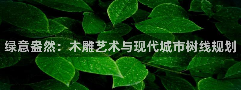 卧龙新款娱乐设备