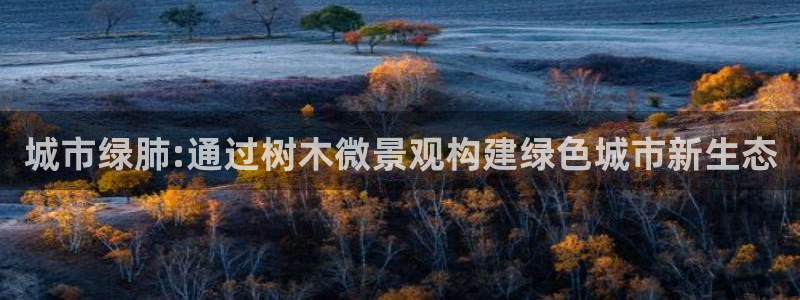 HR娱乐卧龙主管60447