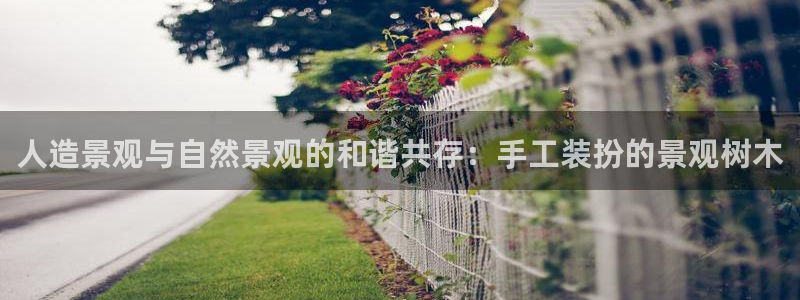 卧龙看娱乐
