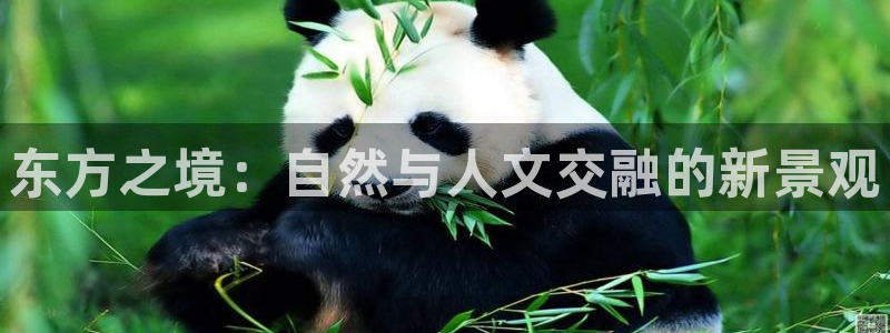 卧龙娱乐怎样