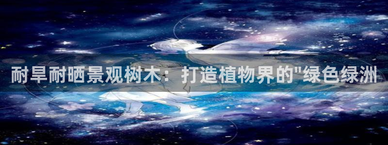 卧龙娱乐前