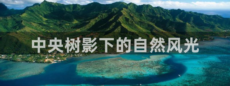 卧龙居餐饮娱乐