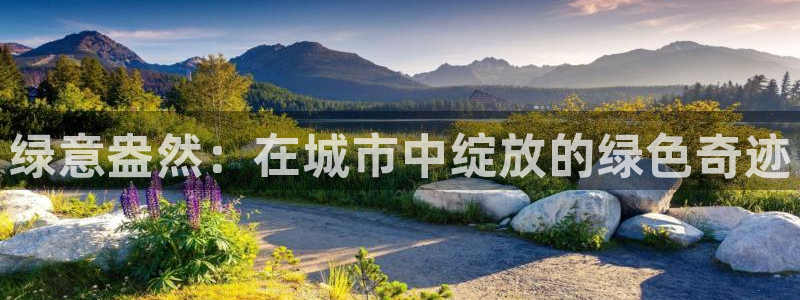 卧龙娱乐是不是骗子