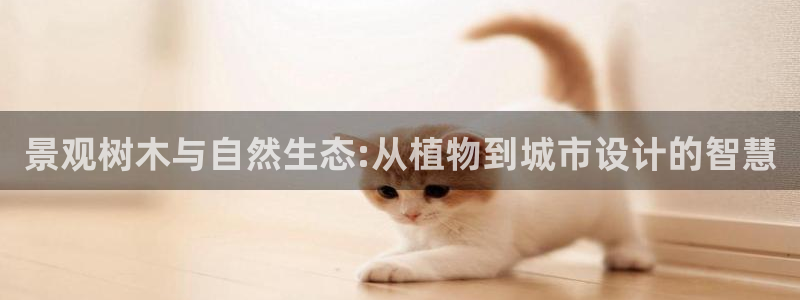卧龙娱乐396667