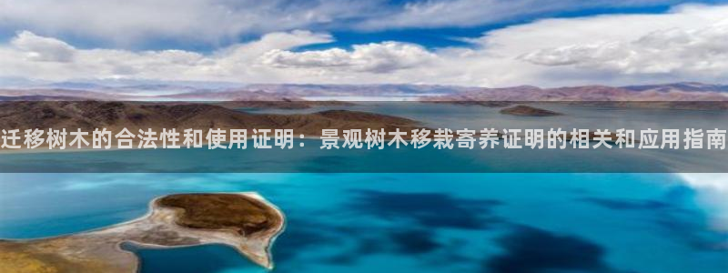 卧龙棋牌娱乐官网首页