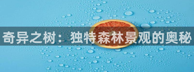 卧龙娱乐老板是谁呀图片