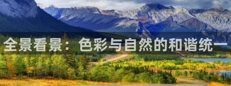 卧龙娱乐有限公司