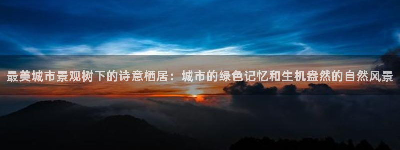 娱乐卧龙