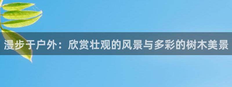 卧龙娱乐app下载苹果