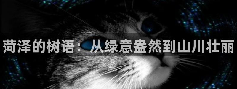 卧龙娱乐能出款吗