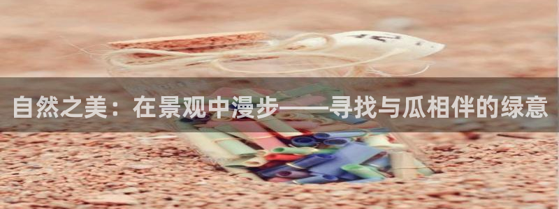 卧龙娱乐主管招聘