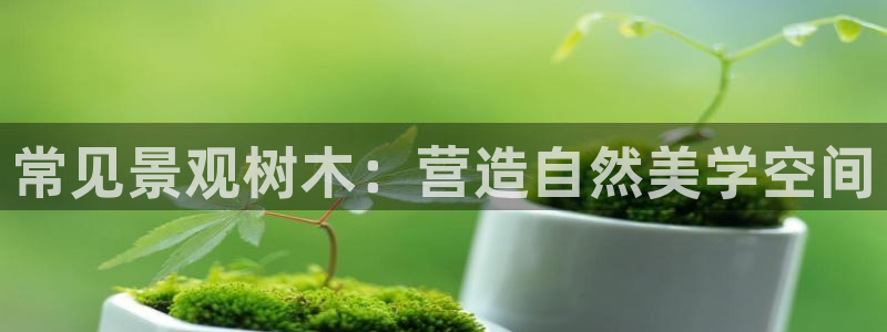 卧龙娱乐属于什么行业