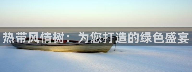 卧龙娱乐老板是谁呀视频