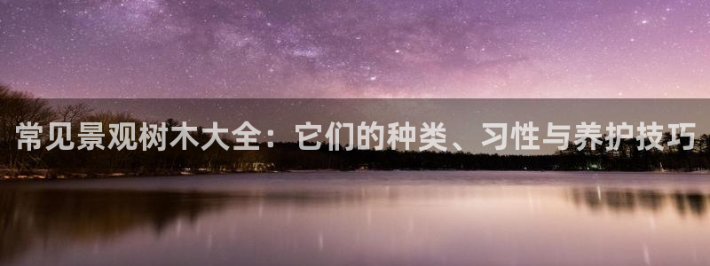南阳卧龙娱乐城